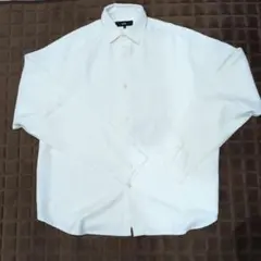 Item thumbnail for item e1332cb5-7024-459d-b93c-4cc8852a9ed6