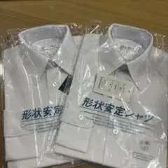 Item thumbnail for item ebfaa356-0a13-4641-a85a-575a2520869e