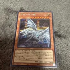 青眼の白龍 光属性 ドラゴン族