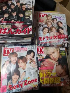 TVガイド　コレクション 2024年大量１年分