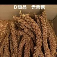 Item thumbnail for item 88a1af22-886d-415d-a8b8-1959c8330346