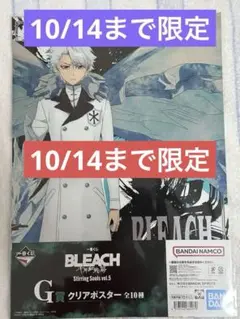 BLEACH 千年血戦篇 一番くじ G賞 クリアポスター 日番谷冬獅郎