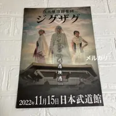 2026年最新】真天地開闢集団ジグザグ フライヤーの人気アイテム - メルカリ
