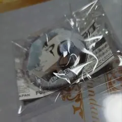 Dr.STONE ゼノ 場面写 缶バッジ