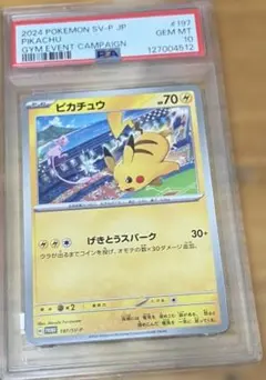 【PSA8 最安】旧裏 ピカチュウ ポケモンジャングル 初期 Sugimori PSA8 最安】旧裏 ピカチュウ ポケモンジャングル 初期 Sugimori - メルカリ