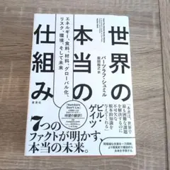 世界の本当の仕組み - メルカリ