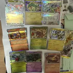 パソコン大暴走！_カメックスメガバトル出場記念カード PROMO 第1世代 1…