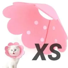 Item thumbnail for item 776744b0-af58-449e-8424-ca569bac46d8