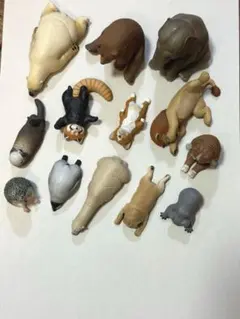 ガチャ /パンダの穴 ZooZooZoo 13体セット