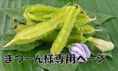 まつーん様専用ページ