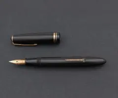 未使用 PILOT 万年筆 カスタム74 FKK-1000R-B-EF - メルカリ