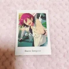 2025年最新】ぱしゃっつ 茨の人気アイテム - メルカリ