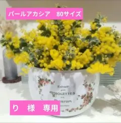 パールアカシア　生花　120サイズダンボーに箱いっぱい♡