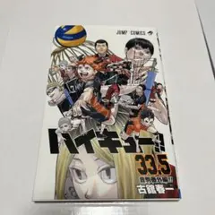 ハイキュー!! 33.5 映画特典付き