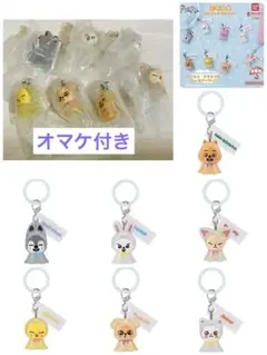 Stray Kids めじるしアクセサリー ガチャ 8個セット
