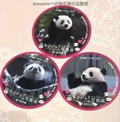 上野動物園 公式 シャンシャンステッカー コンプリート すなやまさんステッカー② 2025年最新】上野動物園 パンダ シールの人気アイテム - メルカリ