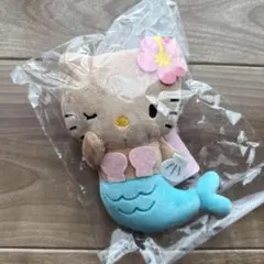 2025年最新】キティ日焼けレアの人気アイテム - メルカリ