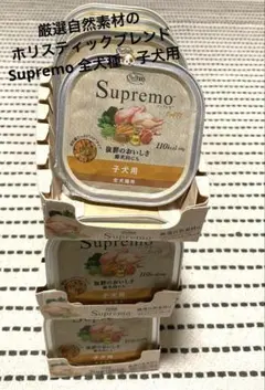 Item thumbnail for item 32e06791-4f6e-49b6-8823-bb79ee10c5de