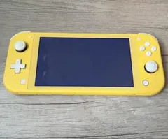Nintendo Switch Lite 本体　あつまれどうぶつの森　セット