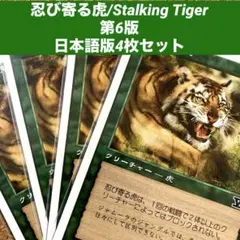MTG 忍び寄る虎/Stalking Tiger 日本語版4枚セット旧枠