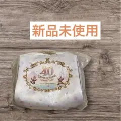 【新品未使用】ディズニー 40周年 ディズニーオフィシャルホテル限定ポーチのサムネイル
