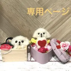 羊毛フェルト 犬 ペキニーズ 枡 節分 バレンタイン 専用