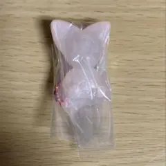 StrayKids スキズ SKZOO アイエン フォクシニー グミ&チャーム