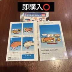 サンリオ 証明写真風スマロイド NG集 KIRIMIちゃん トレカ