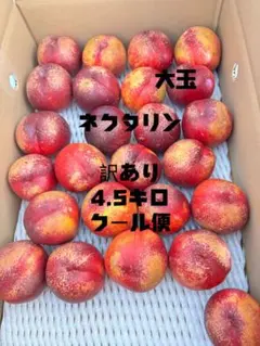 ネクタリン 早生種 ストレンジ 希少品種 3キロクール便 - メルカリ