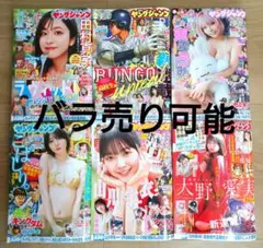 Item thumbnail for item d2004ebe-6a2d-431d-9618-ded0bc83a793