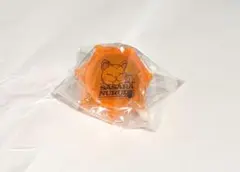2025年最新】白膠木簓 リングライトの人気アイテム - メルカリ