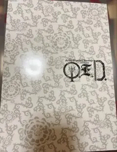 Acid Black Cherry tour Q.E.D ツアーパンフレット