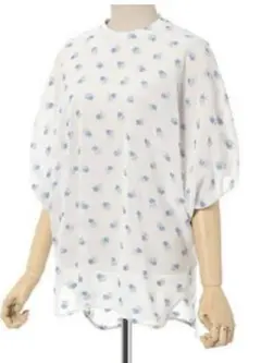 Item thumbnail for item e28dde00-3b92-4bef-9a66-1a5808cb6072