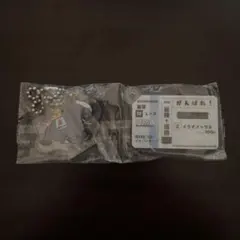 イクイノックス アクリルキーホルダー