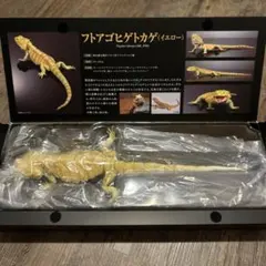 いきもの大図鑑プレミアム　フトアゴヒゲトカゲ　イエローのサムネイル