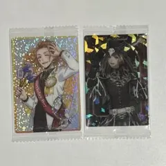 《未開封品》 ケイト ツイステ ウエハースカード 2枚セット 箔押し