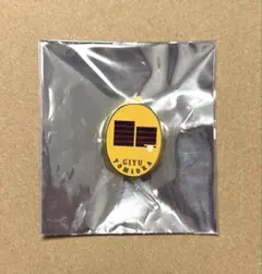 2026年最新】柱展 冨岡義勇 コレクションピンズの人気アイテム - メルカリ