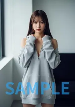 L1339　AI美女 A4ポスター コスプレ　水着　グラビア ランジェリー