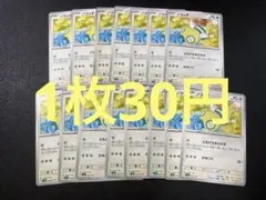 (残り15)ノコッチ ノーマル 15枚