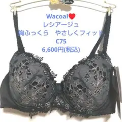 E70 ワコール パルファージュ プッシュアップブラ ブラのみ 新品