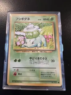 早い者勝ち‼︎‼︎ポケモンカード フシギダネ 旧裏面 美品 - メルカリ