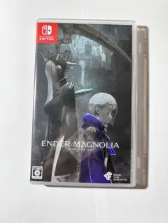 Switch ENDER MAGNOLIA