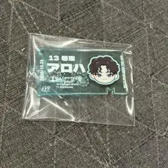 超特急　アロハ　チケットアクキー