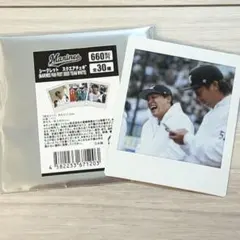 千葉ロッテマリーンズ 石川慎吾 シークレット スクエアチェキ 3枚