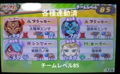 妖怪ウォッチバスターズ2マグナム ソフトのみ