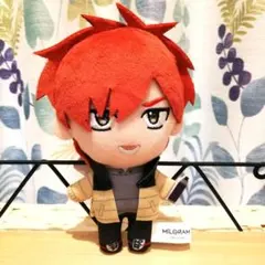 2025年最新】ミルグラム フータ ぬいぐるみの人気アイテム