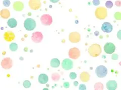 バインダー/リフィル