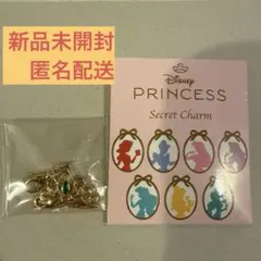 Disney Princess Secret Charm ジャスミン