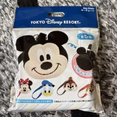 東京ディズニーリゾート ドナルド キーチェーンのサムネイル