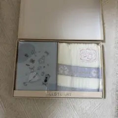 JILL STUART ミラーとタオルのギフトセット